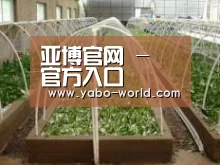 环境展示五