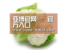 产品名称九