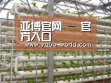 环境展示六