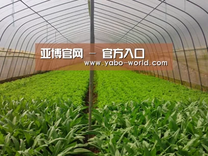 种植基地四