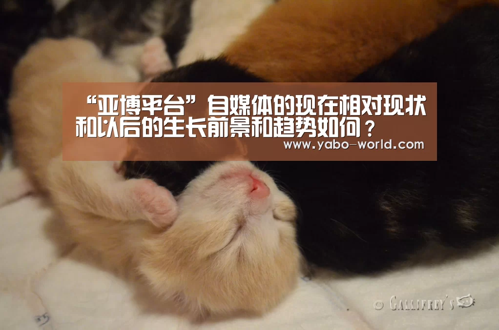 “亚博平台”自媒体的现在相对现状和以后的生长前景和趋势如何?(图2) 亚博网站