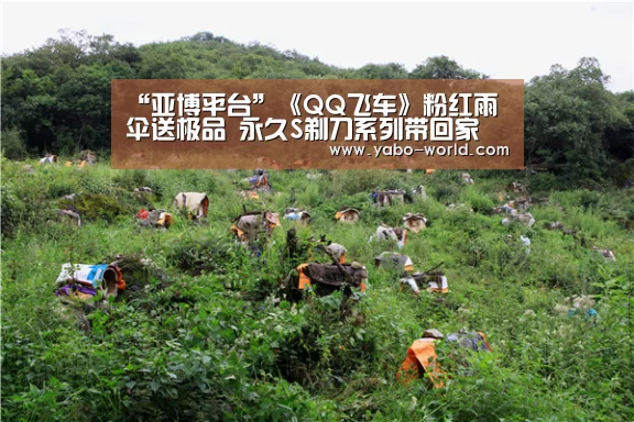 “亚博平台”《QQ飞车》粉红雨伞送极品 永久S剃刀系列带回家(图2) 亚博官网